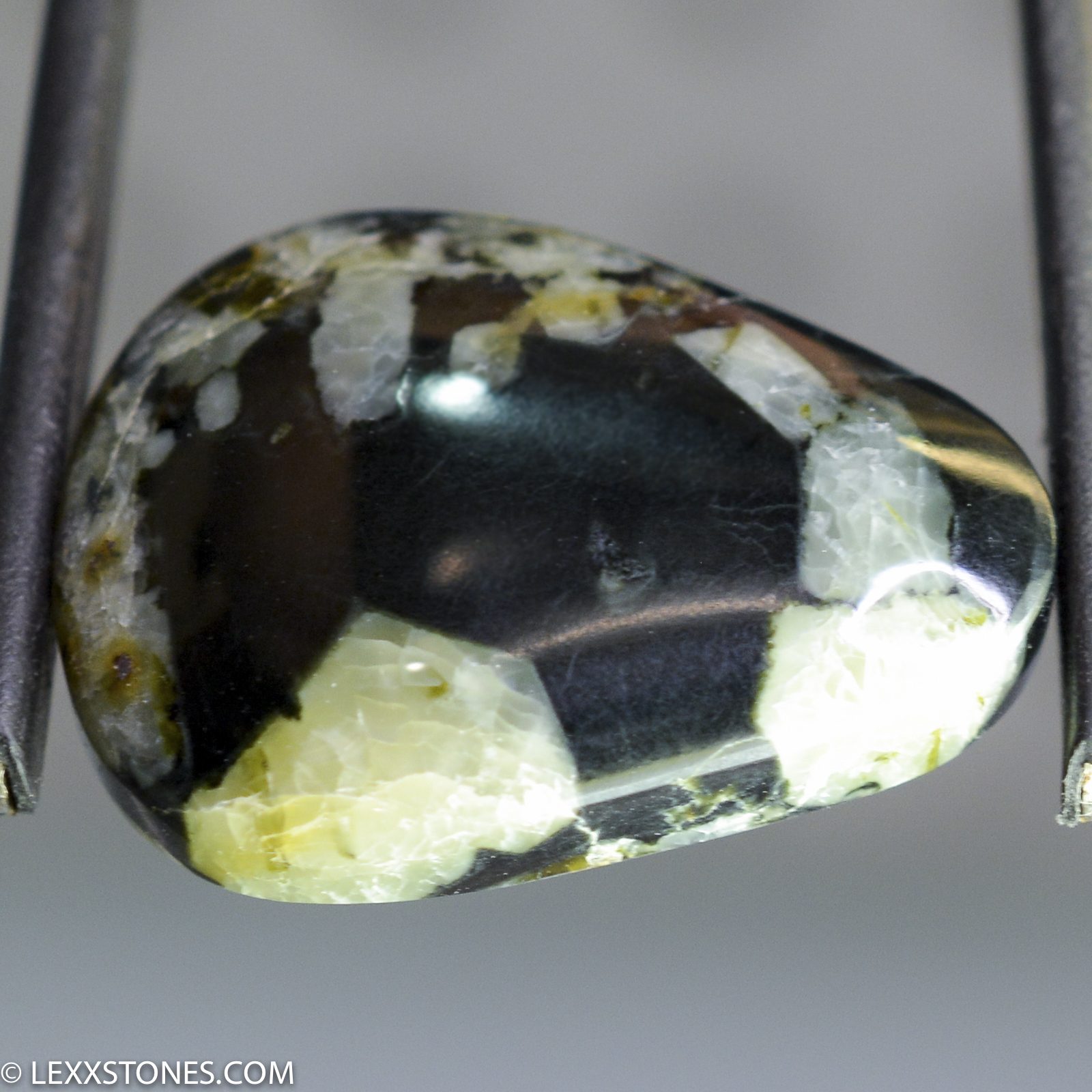Edward's Black Wyoming Nephrite Jade Lexx Stones | Lexx Stones